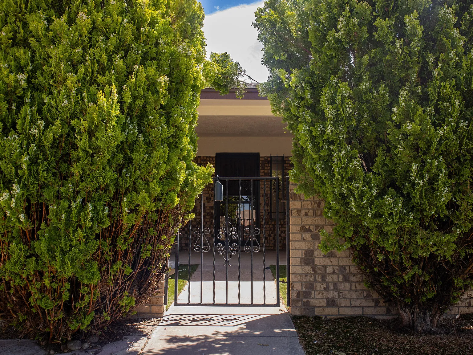 3 bed, 2.0 bath, 1868 sqft, $2,500 — Photo 3