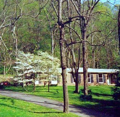 Living in an Enchanted Forest 