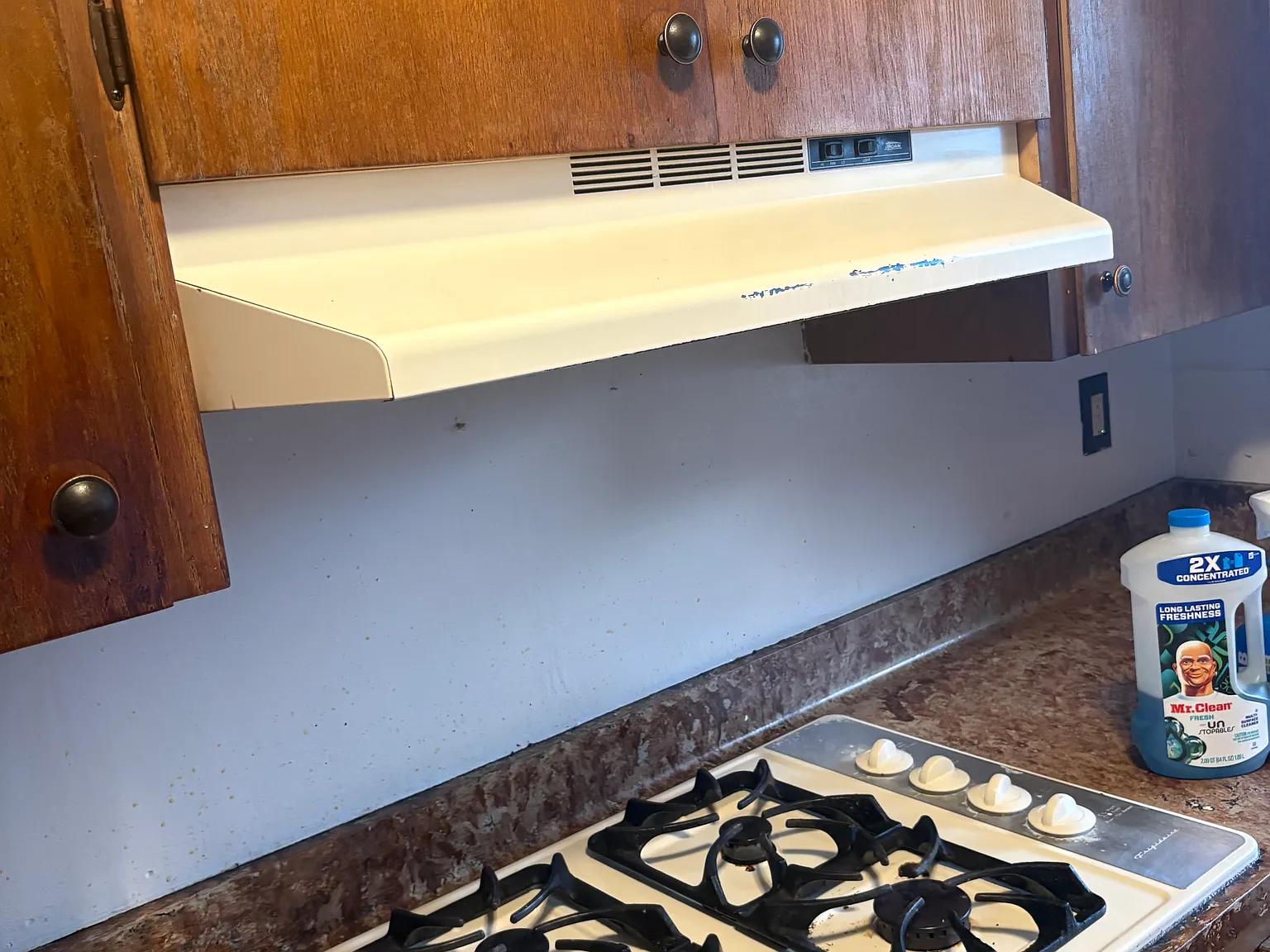3 bed, 800 sqft, $1,500 — Photo 3