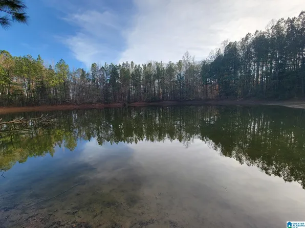 0 County Road 15 #0, Maplesville, AL 36750