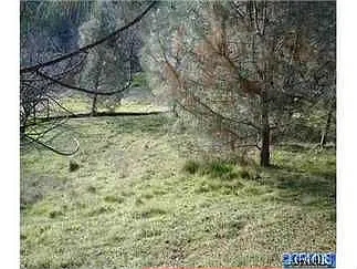 9911 Sequoia Rd photo 1