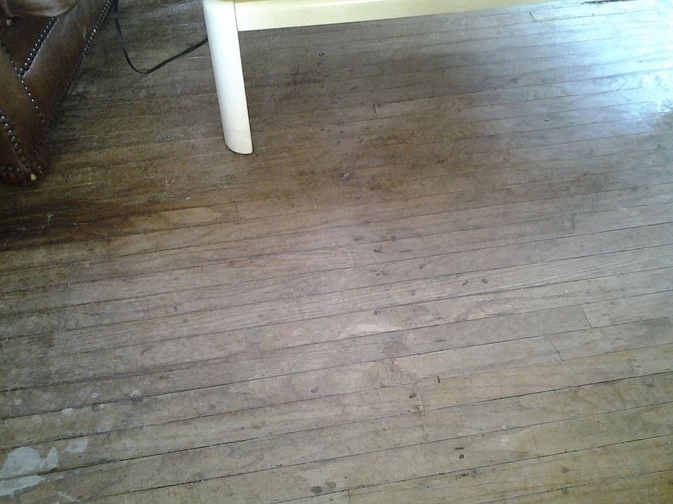1st image of 256 Verbena Dr