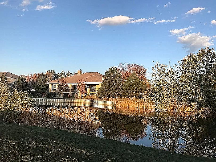 537 Whitney Bay, Windsor, CO 80550 Zillow