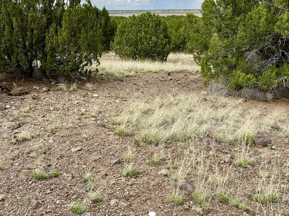 TBD County Rd N3440 -- #42, Concho, AZ 85924