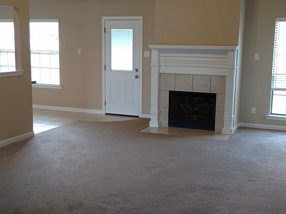 Den with fireplace and tray ceiling