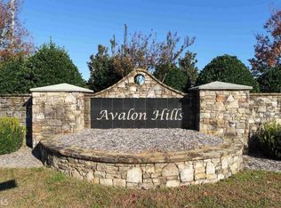 5833 Abbey View Ct, Clermont, GA 30527