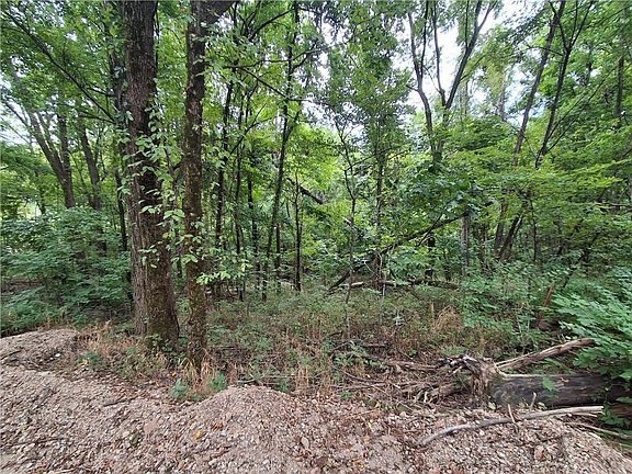 5th image of County Road 517 #2
