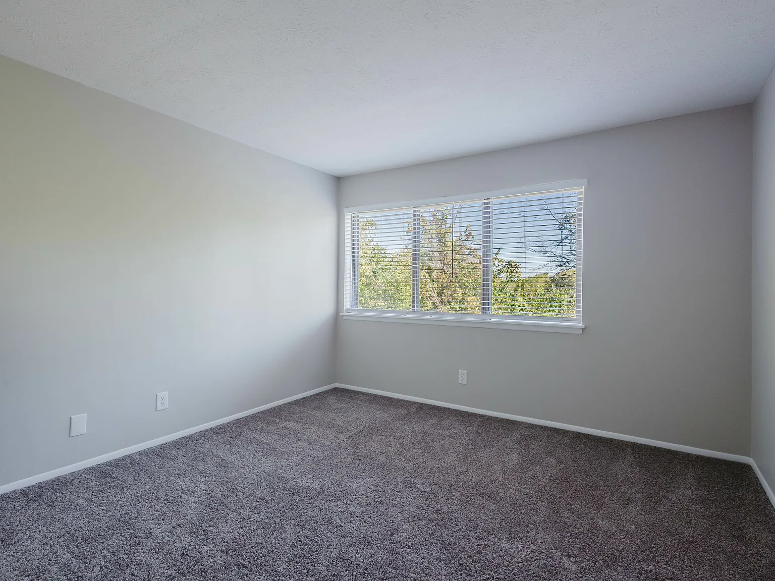 Hideaway — Photo 3