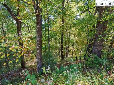 TBD Reynolds Parkway, Boone, NC, 28607