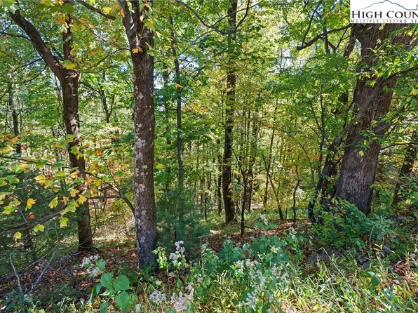 TBD Reynolds Parkway, Boone, NC 28607
