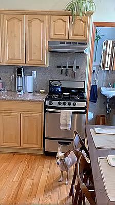 5th image of 300 N 8th St APT 12