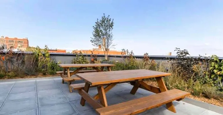 Rented by Gypsy Housing LLC | media 38