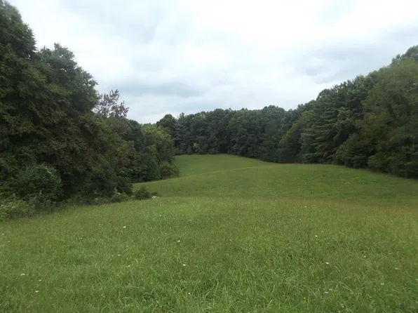 Ridge Rd, Austinville, VA 24312