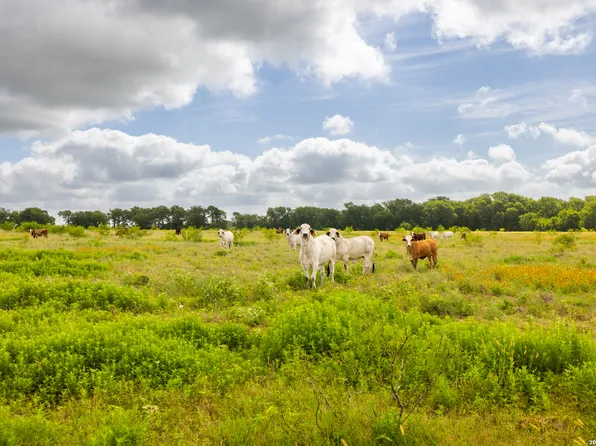 408 E FM 739, CORSICANA, TX 75110