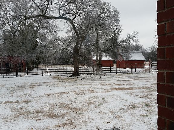 back yard with snow!