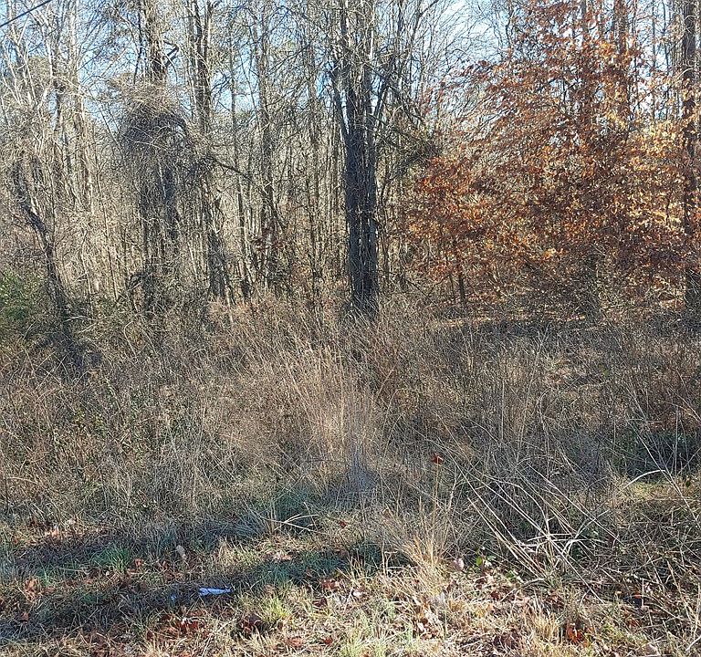 2nd image of 360 Mountain Rd