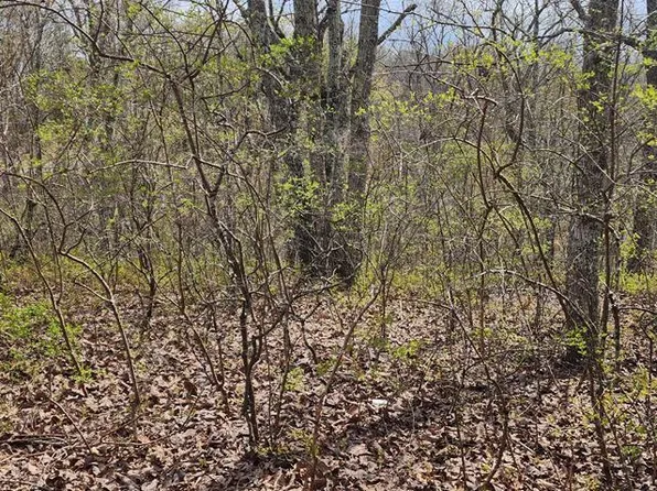 Id75 Riverview Rd, Holladay, TN 38341