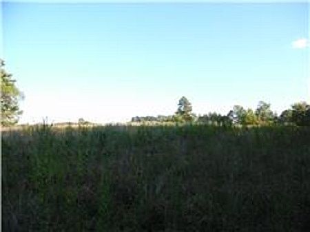 2nd image of 123 Mount Lebanon Road