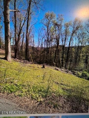 1st image of Esslinger Drive & Low Gap Rd
