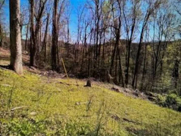 Esslinger Drive & Low Gap Rd, Gatlinburg, TN 37738