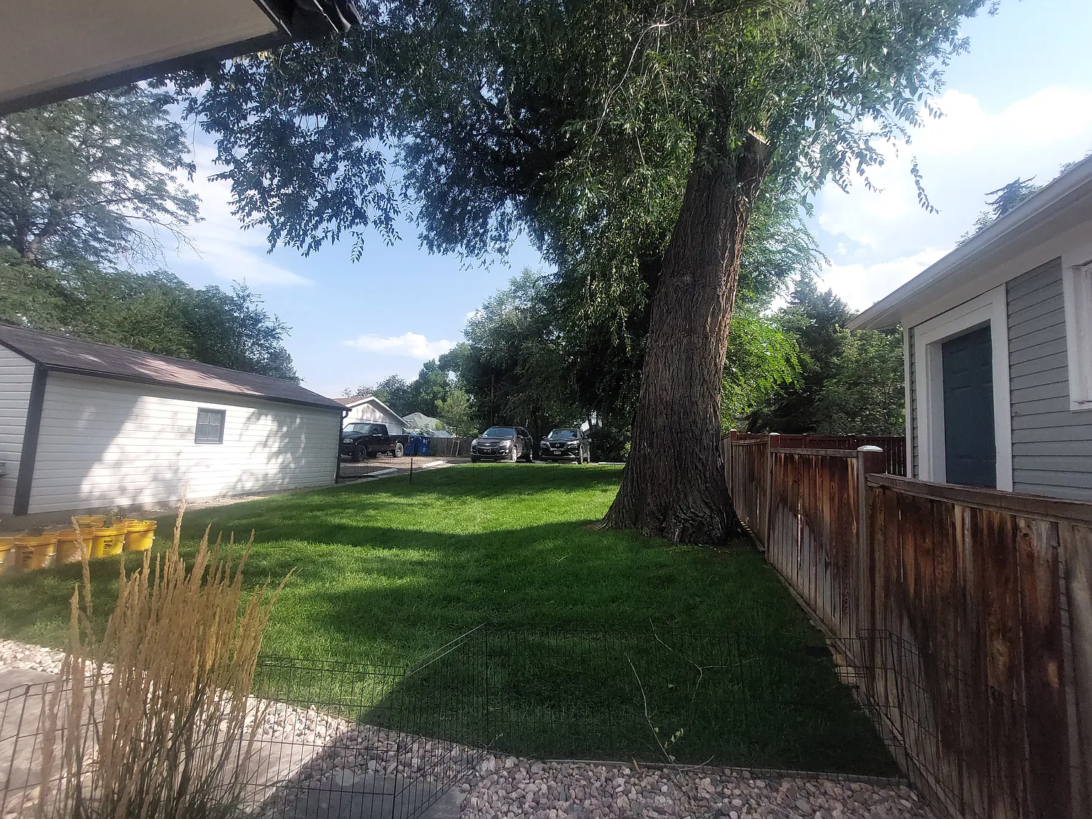 1 bed, 490 sqft, $1,175 — Photo 4