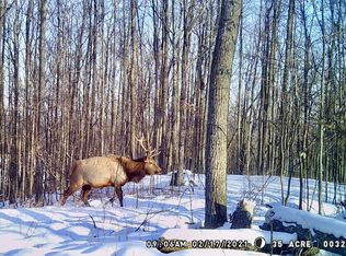 12261 Secrist Rd, Atlanta, MI 49709