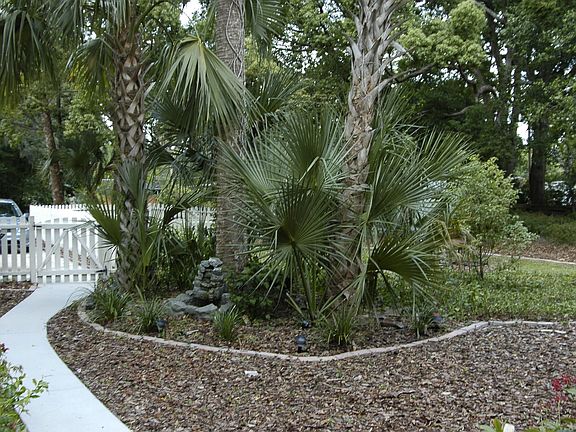 Side Yard View