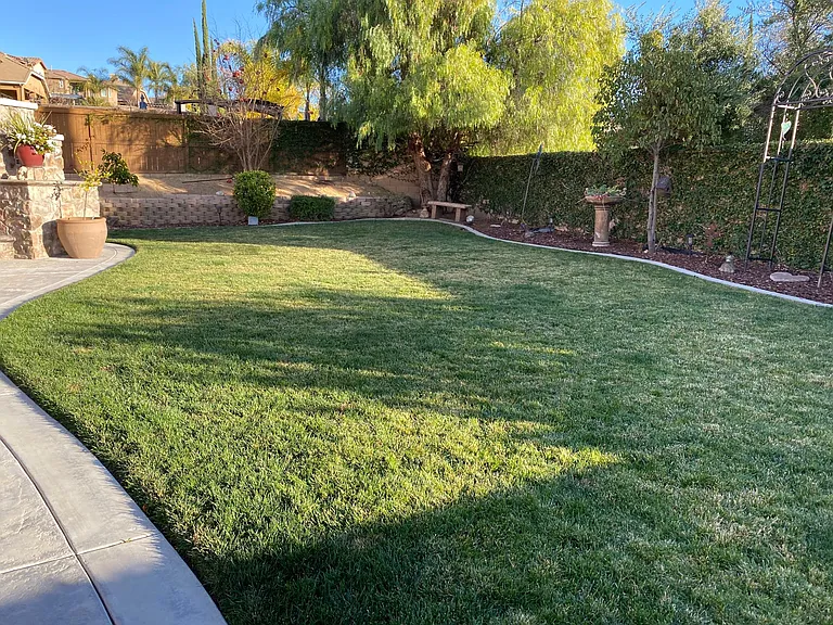 33845 Rustridge St — Photo 24
