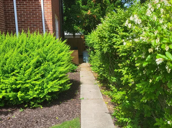 1 Wychwood Rd #Basement, Saint Catharines, ON L2R 3R8