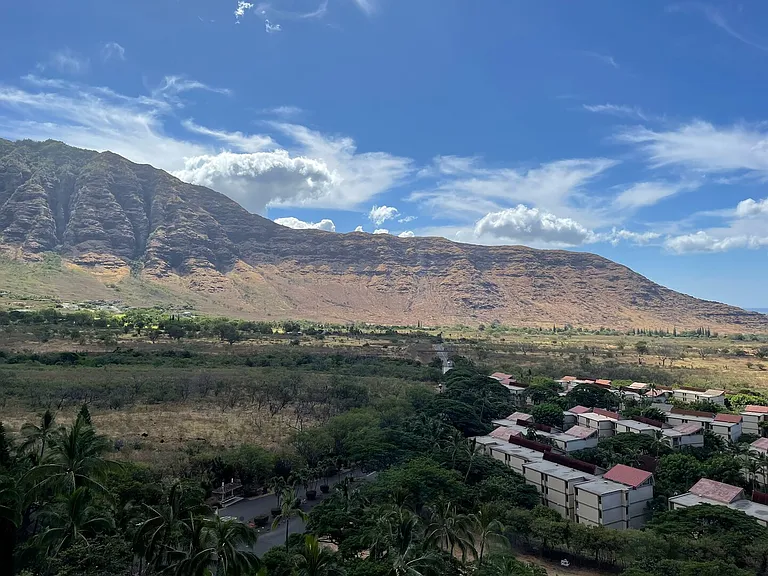 Kili Dr — Photo 30