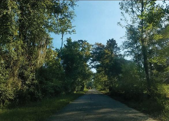 Exterior Neighborhood (street photo)