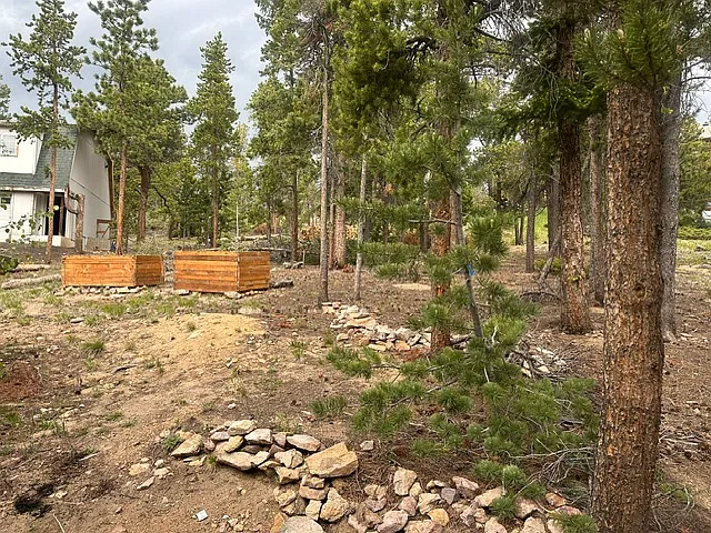 33020 Janelle Cir — Photo 6