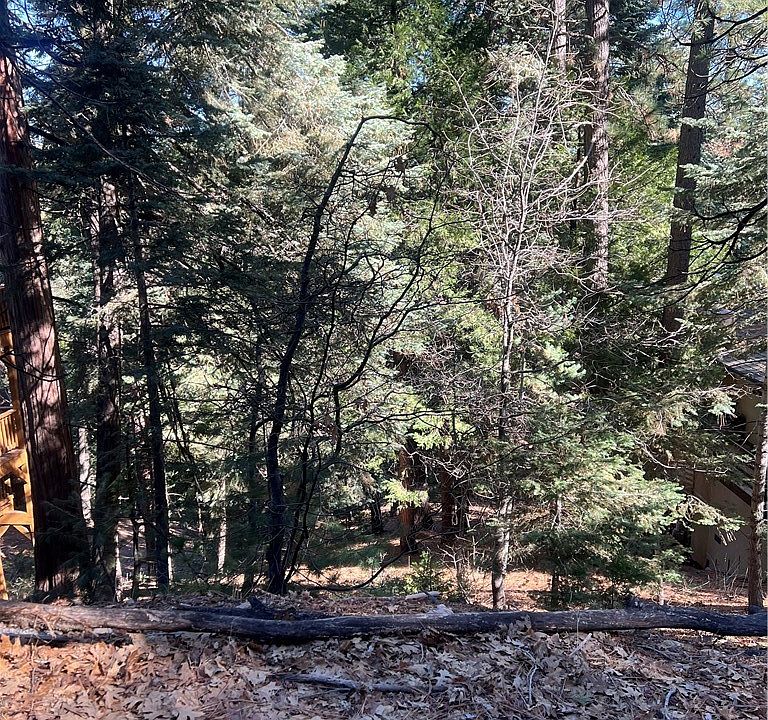 2nd image of 0 Forest Gln