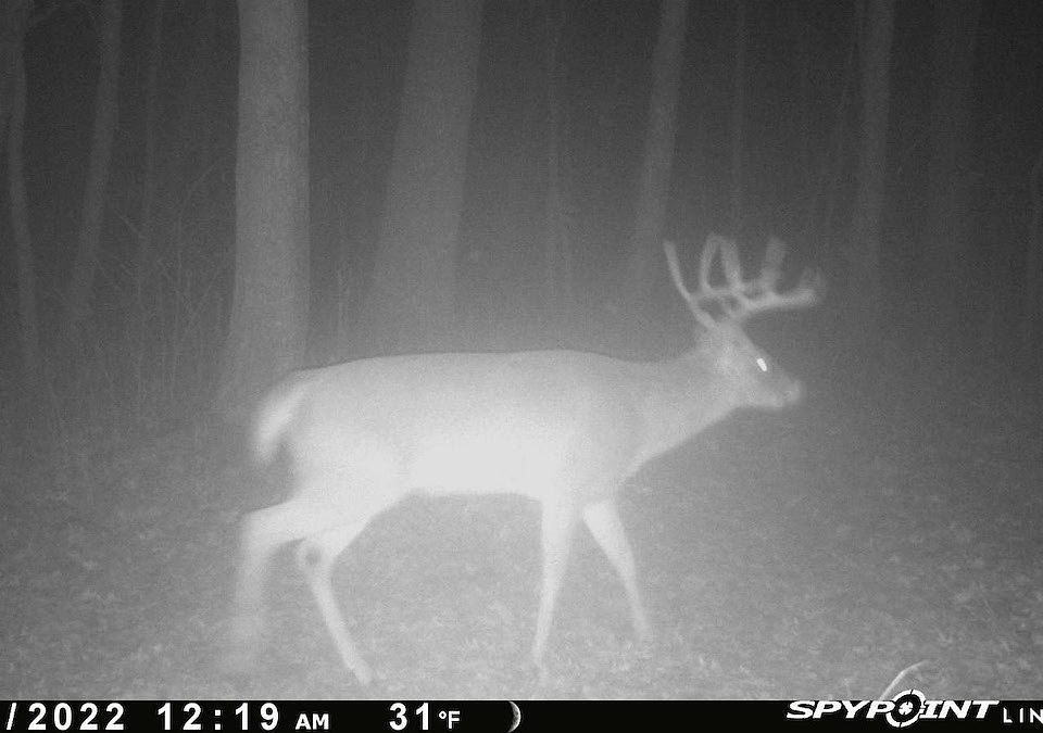 1st image of 4305 E Michael Ln
