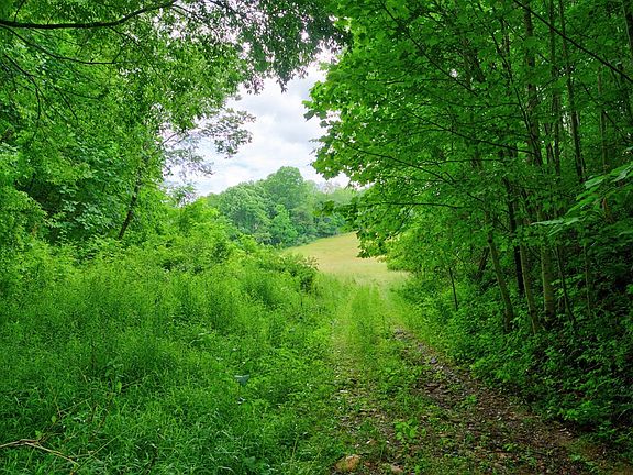 5th image of LOT 88 Goodpasture Hollow Rd