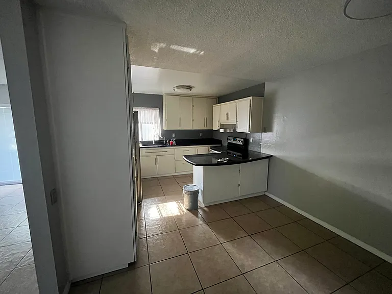 Kitchen from dining