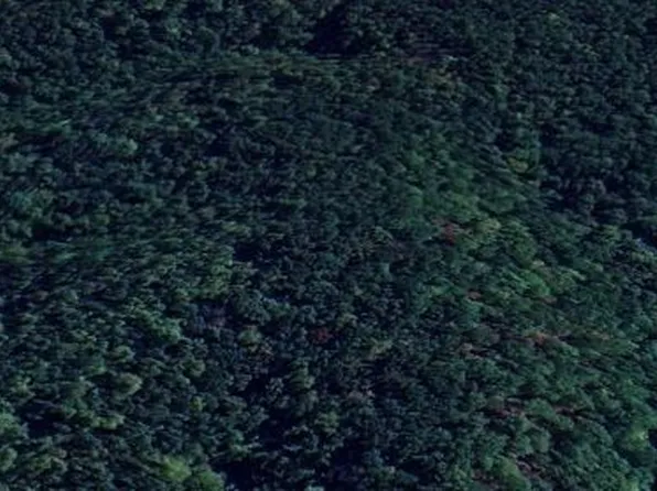 3 Rippy Ridge Rd, Normandy, TN 37360