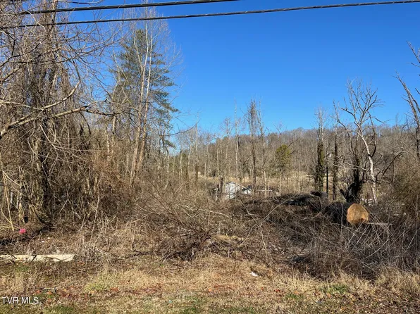 Tbd Taggart Ave, Big Stone Gap, VA 24219
