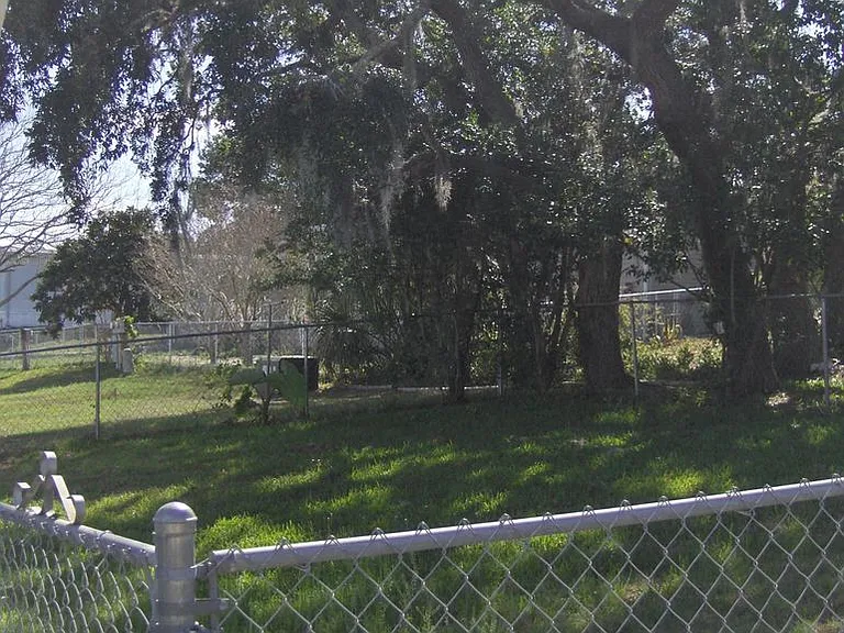 Fenced back yard.