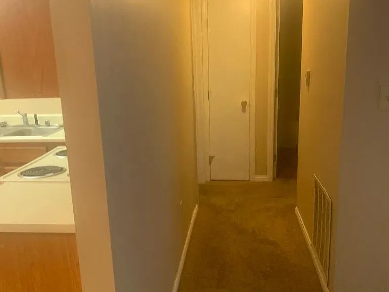 Main hallway to bedrooms and bathroom