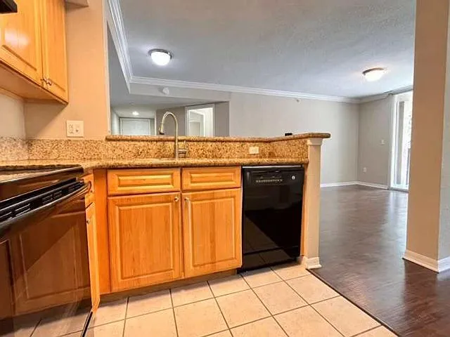 15155 Michelangelo Blvd — Photo 13