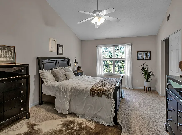Vaulted Ceilings
