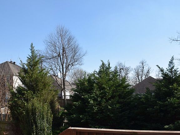 Screened view in backyard