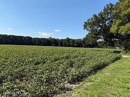 1st image of 1400 Holly Springs Church Road