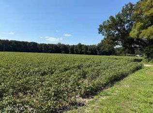 1400 Holly Springs Church Rd, Williamston, NC 27892
