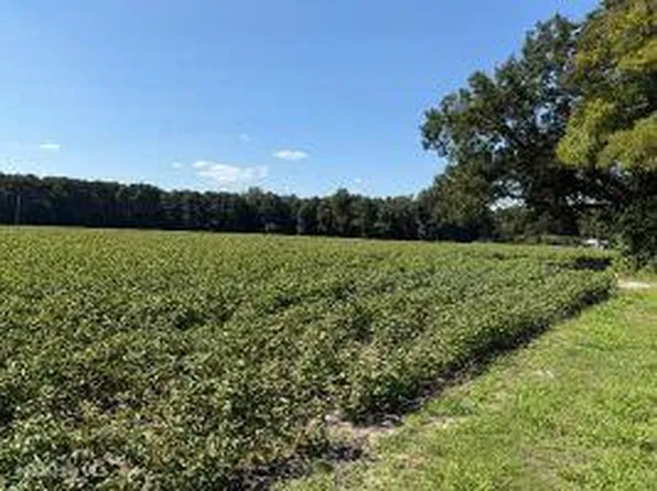 1400 Holly Springs Church Road, Williamston, NC 27892