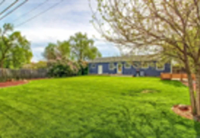 425 S Harlan St — Photo 10