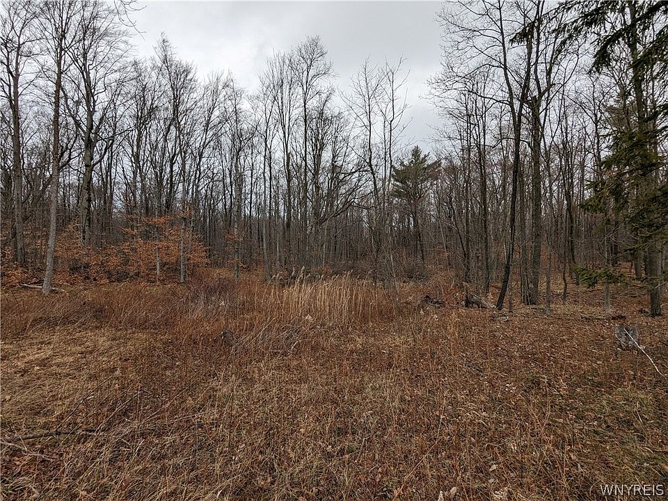 0 Nunda Byersville Rd W, Dansville, NY 14437 Zillow