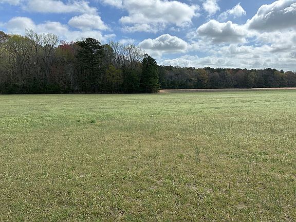 3rd image of 31379 Boggs Rd