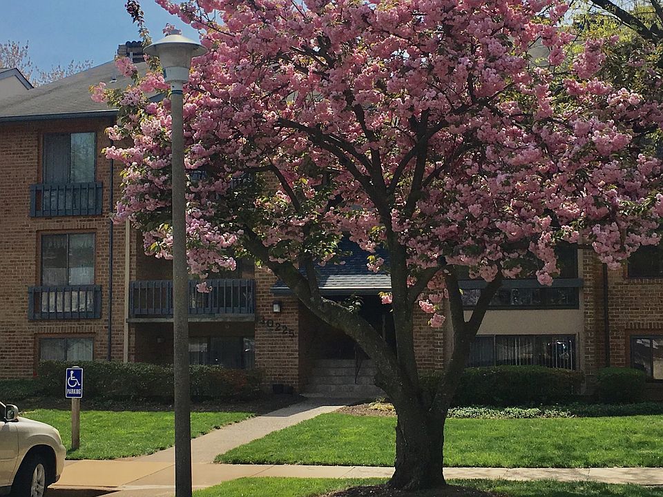 1st image of 10225 Valentino Dr APT 7204